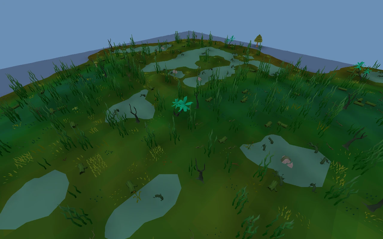 Swamp pools on the north-west lobe