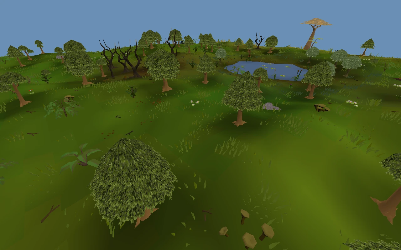 Woodland, where the savanna ends